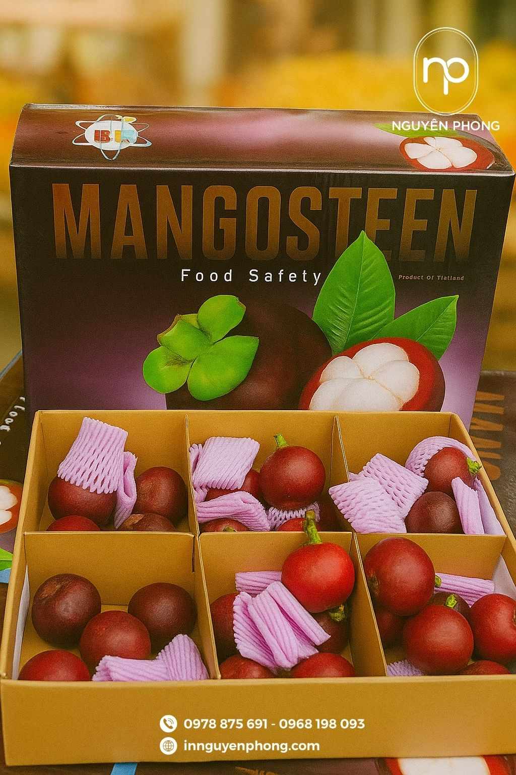 Mẫu thùng carton đựng măng cụt chia ngăn làm quà tặng 